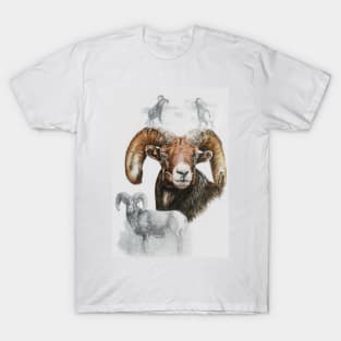 Bighorn Ram T-Shirt